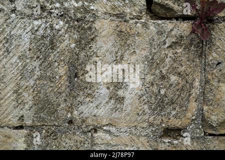 Antikes Graffiti an der Ruinenwand von St. Martin le Grand, Cannon Street, Dover, Kent, England, Vereinigtes Königreich Stockfoto