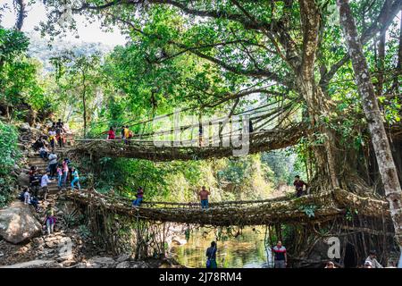 Doppeldeckerwurzelbrücke überfüllt mit Touristen am Morgen aus einzigartigem Winkel Bild wird an Doppeldeckerbrücke cherrapunji meghalaya india am April aufgenommen Stockfoto