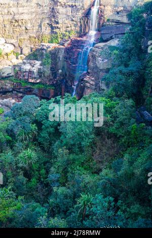 Wasserfall fällt von der Bergspitze an Wäldern am Tag aus flachem Winkel Bild wird am Dantil Wasserfall cherrapunji meghalaya india aufgenommen. Stockfoto