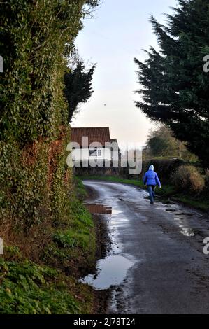 Einsame Frau, die auf der nassen, schlammigen Landstraße broome norfolk england entlang geht Stockfoto