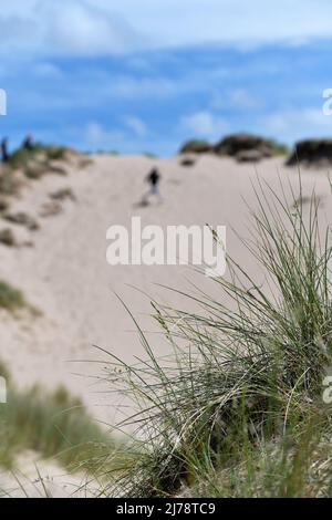 Marrammgras auf Sanddünen mit entkoketer Figur im Hintergrund Stockfoto