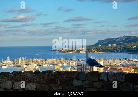 Eine Möwe sitzt auf einer Steinmauer mit Blick auf den Hafen und die Küstenlandschaft von Denia im leicht bewölkten Sommernachtshimmel Stockfoto