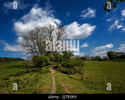 Stane Street Roman Road, West Sussex Stockfoto