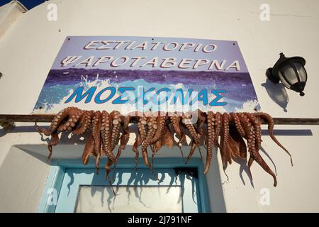 Octopus trocknet unter der Sonne in Naousa Dorf, Paros, Kykladen, Griechenland Stockfoto