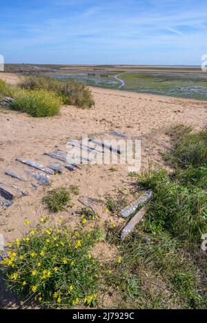 Fußweg zum Sandstrand und Naturschutzgebiet am Austernort Fort Royer, Oleron Island, Charente Maritime, Frankreich Stockfoto