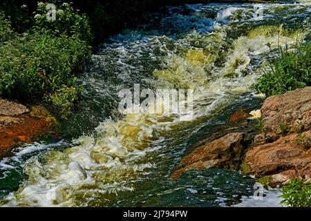 Stürmisch schnell schäumender Strom eines starken Gebirgsflusses an einem warmen Tag Stockfoto