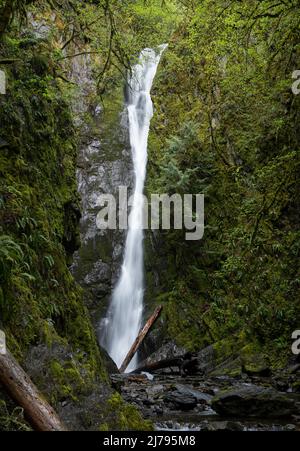 Niagarafälle im Goldstream Provincial Park in British Columbia, Kanada. Stockfoto