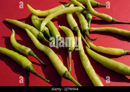 Hellgrün kühl, hellgrüne Chilischoten in einer Linie angeordnet. Frisches indisches Bio-Gemüse auf rotem Hintergrund Stockfoto