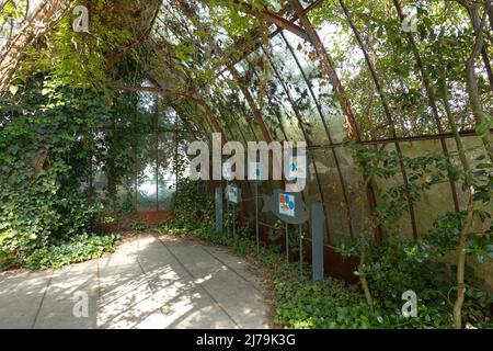 Paris, an der seine, Jardin d'Archipel, schwimmende Gärten // Paris, River seine, Jardin d'Archipel, Floating Gardens Stockfoto