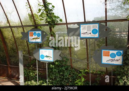 Paris, an der seine, Jardin d'Archipel, schwimmende Gärten // Paris, River seine, Jardin d'Archipel, Floating Gardens Stockfoto