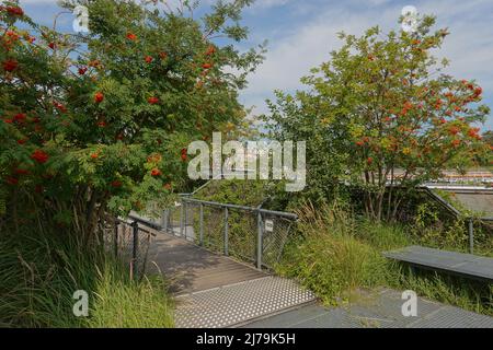 Paris, an der seine, Jardin d'Archipel, schwimmende Gärten // Paris, River seine, Jardin d'Archipel, Floating Gardens Stockfoto