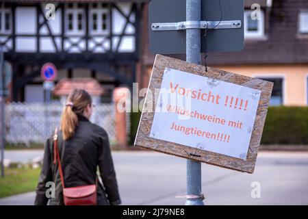 25. April 2021, Mecklenburg-Vorpommern, Schwerin: Ein Warnschild gegen Wildschweine mit Jungtieren hängt im Landkreis Zippendorf direkt am Schweriner See. Foto: Jens Büttner/dpa Stockfoto