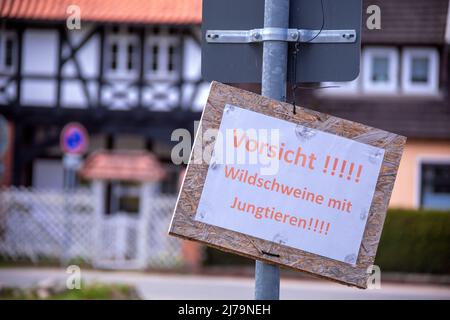 25. April 2021, Mecklenburg-Vorpommern, Schwerin: Ein Warnschild gegen Wildschweine mit Jungtieren hängt im Landkreis Zippendorf direkt am Schweriner See. Foto: Jens Büttner/dpa Stockfoto