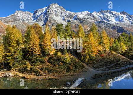 Dent du Perroc (3676m Höhenmeter) im Val d'Hérens bei Sion im Wallis (Wallis), Kanton der Schweiz, vom Lac Bleu aus gesehen an einem schönen Herbsttag Stockfoto