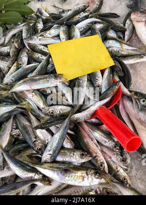Rohe Stöckerfische auf dem Markt mit leerem Etikett Stockfoto