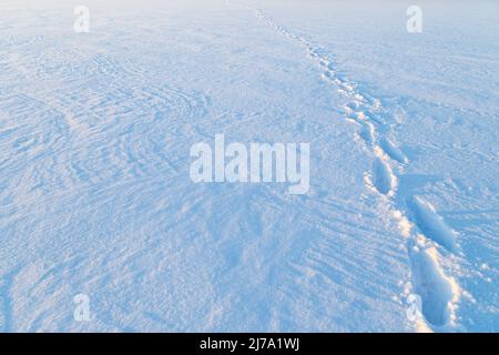 Schritte auf Schnee. Blick auf die Schritte auf einem gefrorenen und verschneiten See in Finnland an einem sonnigen Tag im Winter. Speicherplatz kopieren. Stockfoto