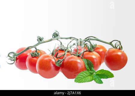 Reifes und frisches Strauß roter Tomaten mit grünen Stielen und Minzblättern, isoliert auf weißem Hintergrund, mit Platz für Text Stockfoto