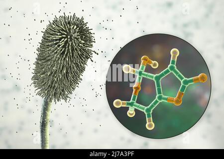 Aspergillus clavatus Schimmelpilze und Molekül des Patulintoxins, Illustration Stockfoto