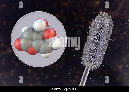 Aspergillus clavatus Schimmelpilze und Molekül des Patulintoxins, Illustration Stockfoto