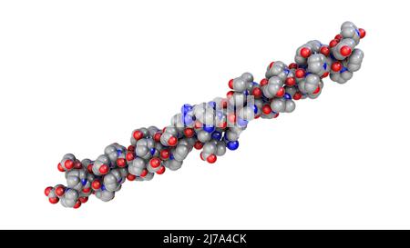 Kollagen-Protein-Molekül, Illustration Stockfoto