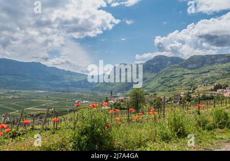 Landschaft von Kurtaccia (Kurtatsch) in Südtirol, Norditalien: Das idyllische Weindorf liegt auf einem sonnigen Hochplateau auf 333 m.ü.M. Stockfoto