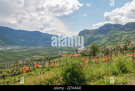 Landschaft von Kurtaccia (Kurtatsch) in Südtirol, Norditalien: Das idyllische Weindorf liegt auf einem sonnigen Hochplateau auf 333 m.ü.M. Stockfoto