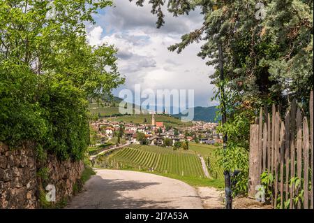 Blick auf das Dorf Tramin entlang der Weinrote. Tramin ist das Weinbaudorf Südtirols - Norditalien - und seine Geschichte ist stark kontra Stockfoto