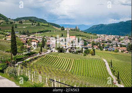 Tramin Village entlang der Weinrote. Tramin ist das Weinbaudorf Südtirols - Norditalien - und seine Geschichte ist eng verbunden Stockfoto