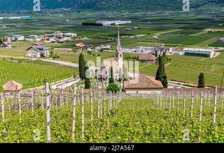 Tramin Village entlang der Weinrote. Tramin ist das Weinbaudorf Südtirols - Norditalien - und seine Geschichte ist eng verbunden Stockfoto