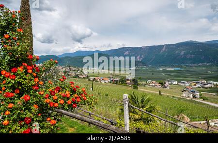 Tramin Village entlang der Weinrote. Tramin ist das Weinbaudorf Südtirols - Norditalien - und seine Geschichte ist eng verbunden Stockfoto