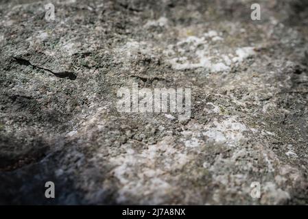 Textur, die hintergrundebenen und Rissen in Sedimentgestein auf Felswand. Felsen von Rock Mountain. Rock Schiefer in den Berg. Nahtlose abstrakte backgro Stockfoto