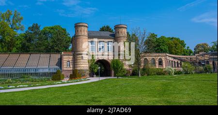 Eintritt in den Botanischen Garten im Schloss, Karlsruhe, Baden Württemberg, Deutschland Stockfoto