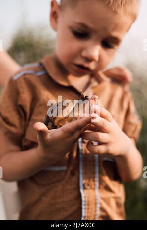 Ein kleines Kind hält eine Schnecke in den Händen und untersucht sie sorgfältig Stockfoto