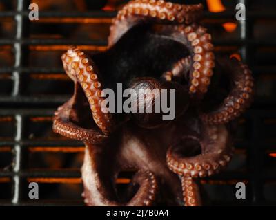 Makroaufnahme. Ein großer Oktopus wird auf einem offenen Feuer auf einem Grill gebraten. Kochen von Meeresfrüchten am offenen Feuer, Gourmet-Rezepte. Vegetarische Bio-Lebensmittel. Kulinarisch b Stockfoto