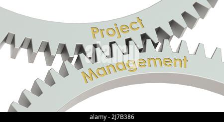 Projektmanagement-Wort auf Zahnrädern, 3D Rendering Stockfoto