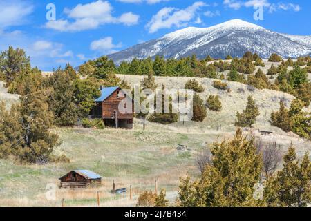 Alte Scheune und Hütte in den Ausläufern unterhalb des Mount Baldy in den Big Belt Mountains in der Nähe von townsend, montana Stockfoto