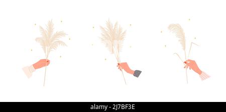 Trockenes Pampagras in weiblichen Händen. Beige cortaderia im Boho-Stil. Vektor getrocknete Blume isoliert auf weißem Hintergrund. Trendiges Element-Design für Stock Vektor