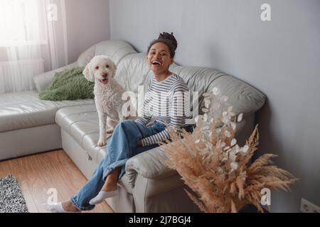 Fröhliche junge schöne Frau Besitzer chillen auf der Couch mit weißen Hund Pudel Haustier Stockfoto