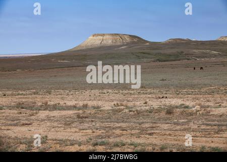 Landschaftlich schöner Blick auf den Hügel in der Wüste. Kasachstan Stockfoto