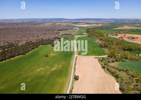 Feldweg, der zwischen den in der Ebene gepflanzten Kulturen zirkuliert. Stockfoto