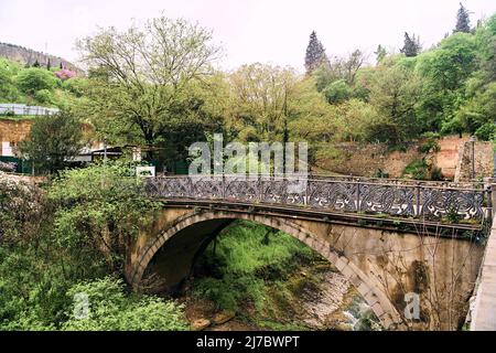 Nationaler Botanischer Garten in Tiflis. Verschiedene Pflanzen aus der ganzen Welt Stockfoto