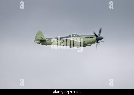 Navy Wings Seafire XVII SX336 wird am 1.. Mai 2022 auf der Shuttleworth Season Premiere Air Show in der Luft gejagt Stockfoto