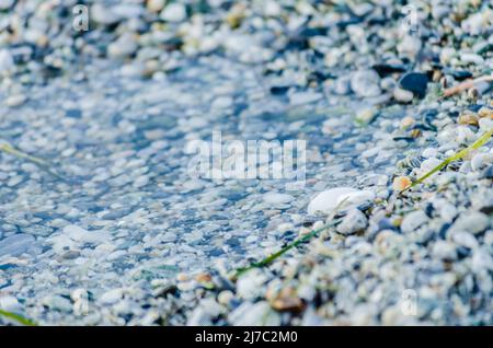 Kleine Kieselsteine am Strand in Leptokarya, Griechenland. Stockfoto