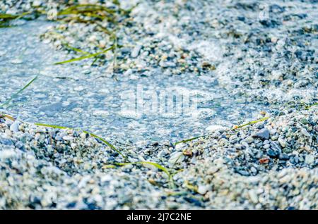 Kleine Kieselsteine am Strand in Leptokarya, Griechenland. Stockfoto