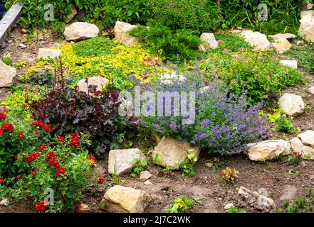 Landschaftsgestaltung im Hausgarten, Landschaftsgestaltung mit Blumen, Pflanzen und Steinen im Sommer. Landschaftlich gestalteter Hinterhof des Wohnhauses. Stockfoto