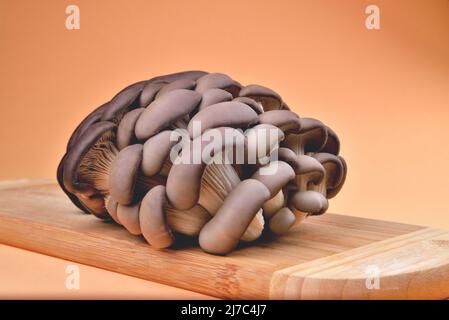 Essbare natürliche Austernpilze, Bambus Schneidebrett, auf orangefarbenem Hintergrund, Pilze zum Kochen und Gurken, Nahaufnahme und Kopierraum Stockfoto
