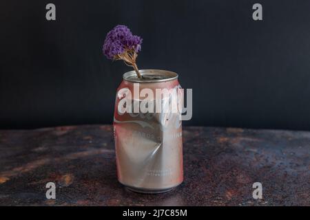 Alte rostige Coca-Cola Dose mit einer violetten Blume im Inneren mit schwarzem Hintergrund und auf einer rostigen Metallplatte. Stockfoto