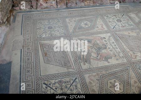 Altes römisches Bodenmosaik mit mythologischer Szene, genannt die Strafe von Dirce, gefunden in Pula, Kroatien Stockfoto