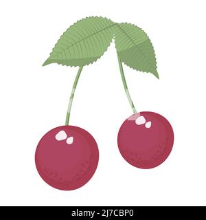 Zwei Kirschen mit Blättern, bunte Illustration Stock Vektor