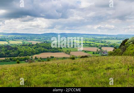 Blick auf die Landschaft und das Ackerland in Blatchford Down auf dem North Downs Way, Abinger Hammer in der Surrey Hills Area of Outstanding Natural Beauty Stockfoto